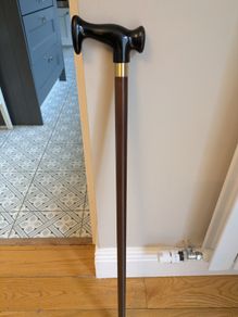 Walking stick