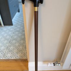 Walking stick