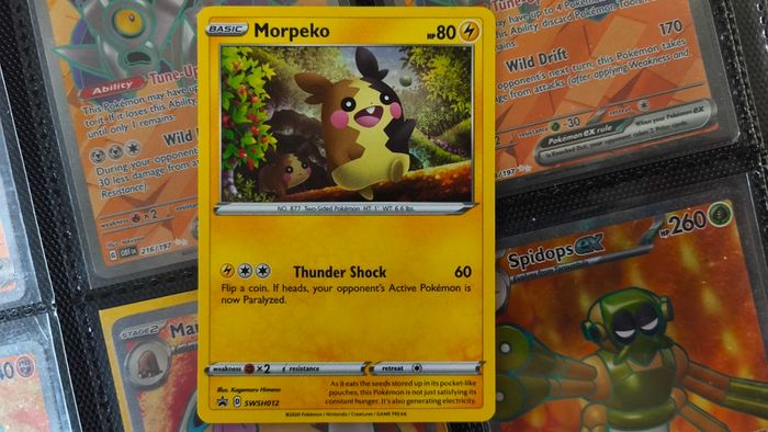 Morpeko ! Promo from Sword & Shield Era ! 2020 ! Pokemon Card !