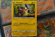 Morpeko ! Promo from Sword &amp; Shield Era ! 2020 ! Pokemon Card !