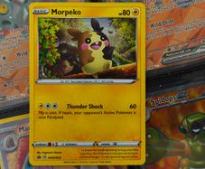 Morpeko ! Promo from Sword & Shield Era ! 2020 ! Pokemon Card !