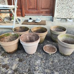 6 plant pot