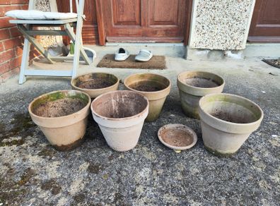 6 plant pot