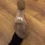 shoes Image 4