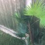 Artificial Flower Image 7