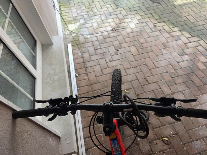 Orbea bike