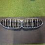 Bmw 8 Series G14 G15 G16 Gran Coupe Chrome Grille Genuine original part Image 2