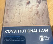 Constitutional Law Fe1 Manual  2025-2026