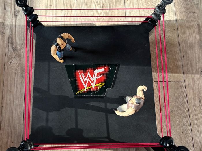 WWF / WWE Jakks BCA Monster Ring