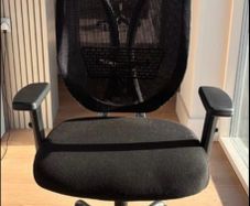 Office Chair (Ergonomic)