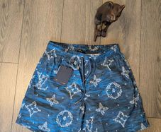 LV luxury swim shorts