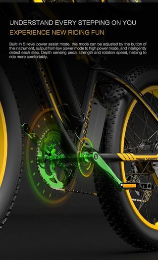 Lankeleisi Xf4000 Electric Bike