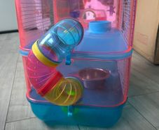 hamster cage