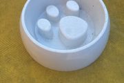 dog bowl
