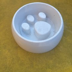 dog bowl