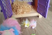 Little live pet hamster