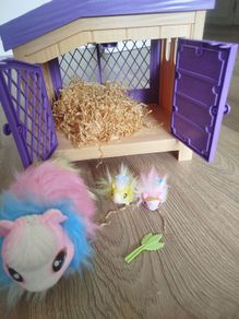 Little live pet hamster