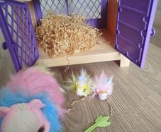 Little live pet hamster