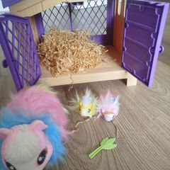 Little live pet hamster