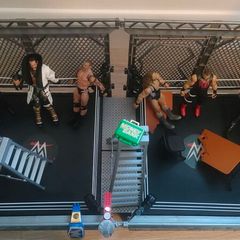 WWE Wrestling cage & Figures