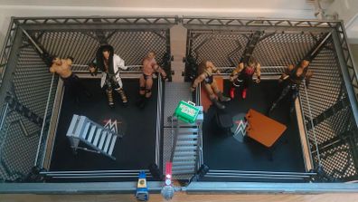 WWE Wrestling cage & Figures