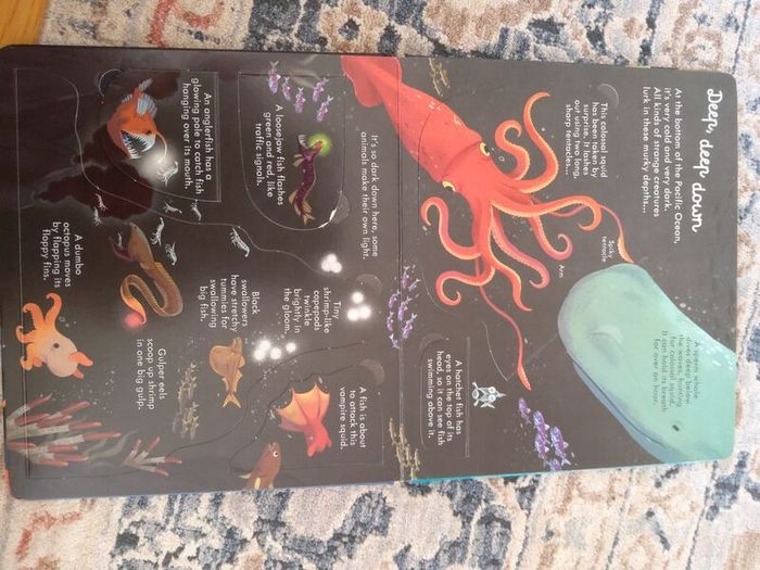 Usborne Look Inside Sea and Oceans