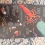 Usborne Look Inside Sea and Oceans Image 4