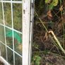 double glazed door and frame Image 5