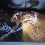 30 days of night graphic novel vol 1 Image 9