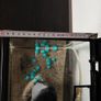 Small fish tank Image 6