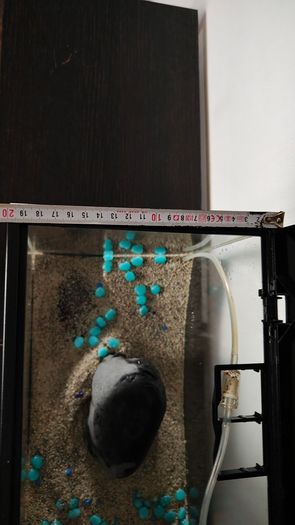 Small fish tank