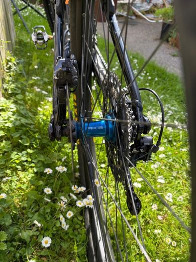 Orbea Rise H10