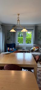 Double pendant light