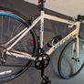 carrera road bike Image 2