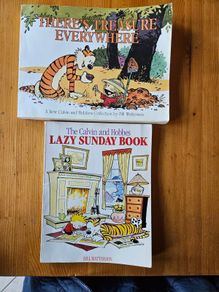 The Calvin And Hobbs X 2 Books. I X Lazy Sunday Book. 2 X There's Treasure Everywhere.  Both By Bill Watterson. Large Volume Paperback In Good Condition.  See Photos For Same