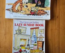 The Calvin And Hobbs X 2 Books. I X Lazy Sunday Book. 2 X There's Treasure Everywhere.  Both By Bill Watterson. Large Volume Paperback In Good Condition.  See Photos For Same