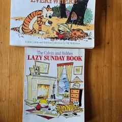 The Calvin And Hobbs X 2 Books. I X Lazy Sunday Book. 2 X There's Treasure Everywhere.  Both By Bill Watterson. Large Volume Paperback In Good Condition.  See Photos For Same