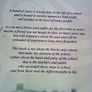 A history of the schools and people of Camcloon area 1870-2009 Ireland Roscommon Image 2