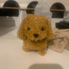 2 brand new, woofie dogs for sale ,