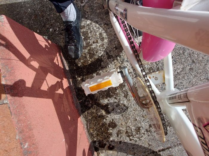 GIRLS BIKE (Sparkle) with Basket, 20 inch wheels, in excellent condition. See Pictures