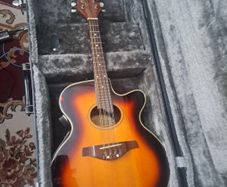 Ozark 2252 Electro-Acoustic Mandolin