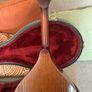 Sherwood Mandolin Image 5