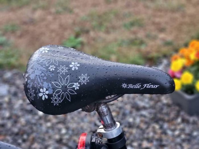 Ladies Bike single speed No Messy Gears