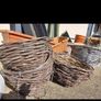 garden pots Image 4