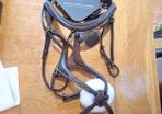 bridle
