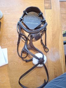 bridle