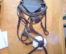 bridle