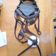 bridle