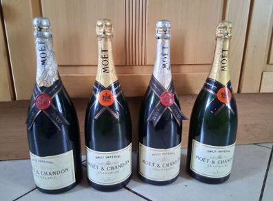 Job Lot Display Magnums Champagne
