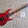Solar A1.6ROP+ guitar with Evertune